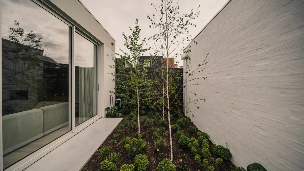 alma custom courtyard garden with modern walls